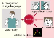 Reading signs: New method improves AI translation of sign language