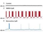 Readying the neural network 3