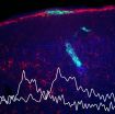 Real-time readout of neurochemical activity