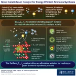 Record ammonia production achieved with inexpensive cobalt catalyst at low temperatures