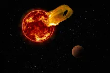 Record-breaking flare from Suns nearest neighbor