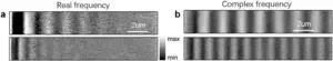 Recovering lossless propagation: HKU physicists overcoming optical loss in polariton system with synthetic complex frequency waves 2