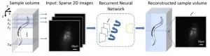 Recurrent neural network advances 3D fluorescence imaging