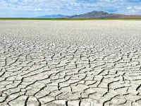 Reducing irrigation for livestock feed crops is needed to save Great Salt Lake, study argues