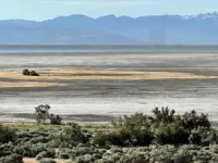 Reducing irrigation for livestock feed crops is needed to save Great Salt Lake, study argues 2