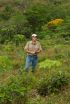 Reforestation research in Latin America helps build better forests