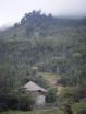 Reforesting rural lands in China pays big dividends, Stanford researchers say  