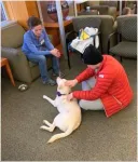 Regular access to therapy dogs boosts first-year students’ mental health 2