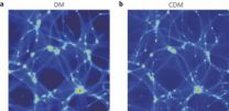 Reinterpreting dark matter