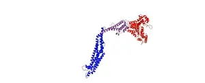 Relatives discovered: Membrane proteins of cyanobacteria and higher organisms are structurally highly similar 2