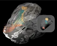 Releasing “brakes” in the brain