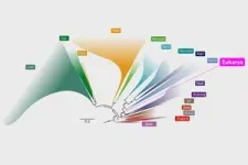 Rensselaer researcher uses pressure to understand RNA dynamics 3