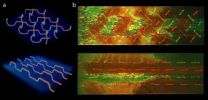 Repeated self-healing now possible in composite materials