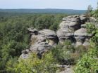 Report describes Central Hardwoods forest vulnerabilities, climate change impacts