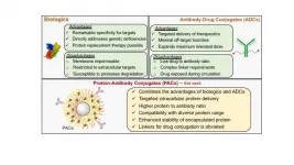 Research breakthrough in the fight against cancer