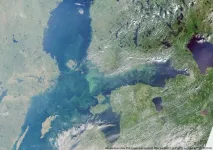 Research: Countries in violation of Baltic Sea Convention, polluting marine environment