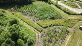 Research gives trees an edge in landfill clean-up