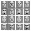 Research shows that some features of human face perception are not uniquely human