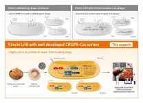 Research team at World Institute of Kimchi discovers lactic acid bacteria strains with high virus resistance from kimchi