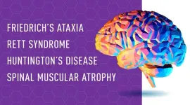 Research to develop new rare disease therapies underway at The Jackson Laboratory