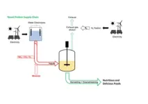 Researcher aims to create a sustainable protein source powered by hydrogen 2