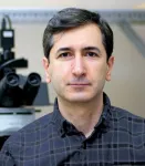 Researchers at Case Western Reserve, Mass Eye and Ear aim to prevent hearing loss by protecting inner-ear cells