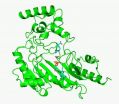 Researchers bring to life proteins motion