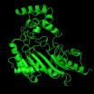 Researchers bring to life proteins' motion 2