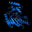 Researchers bring to life proteins' motion 3