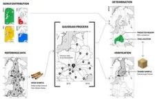 Researchers can reveal illegal timber exports 2