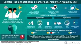 Researchers create mutant mice to study bipolar disorder