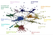 Researchers create new classification of chess openings