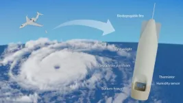 Researchers demonstrate high accuracy of observation device that can be dropped into typhoon without parachute