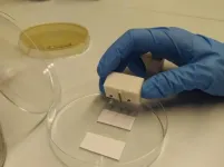 Researchers design a biological device capable of computing by printing cells on paper