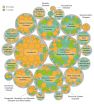 Researchers design a model to predict the effects  of chemical substances on health