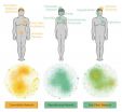 Researchers design a model to predict the effects  of chemical substances on health 2