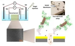 Researchers design sensor for fast, inexpensive on-site Ebola detection