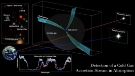 Researchers detect cold gas pipelines feeding early, massive galaxies