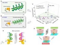 Researchers detects chiral structures using vortex light