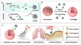 Researchers develop a novel dry-powder inhaled vaccine platform