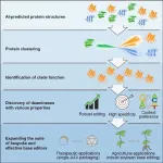 Researchers develop new base editing tools using AI-predicted protein structure clustering