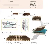 Researchers develop new graphene nanochannel water filters