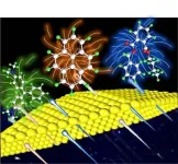 Researchers develop novel raman method to capture target molecules in small gaps actively