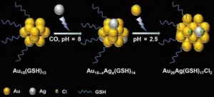 Researchers develop technique to synthesize water-soluble alloy nanoclusters