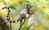 Researchers discover 3 extinct squirrel-like species 2