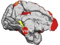 Researchers discover how the brain learns from subconscious stimuli