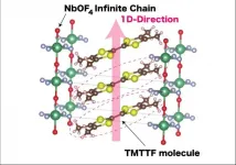 Researchers discover new organic conductor