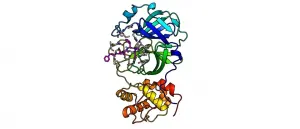 Researchers discover SARS-CoV-2 inhibitors