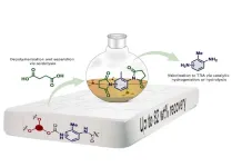 Researchers discover smarter way to recycle polyurethane