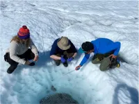 Researchers discover that the ice cap is teeming with microorganisms